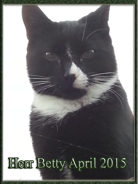 Herr Betty