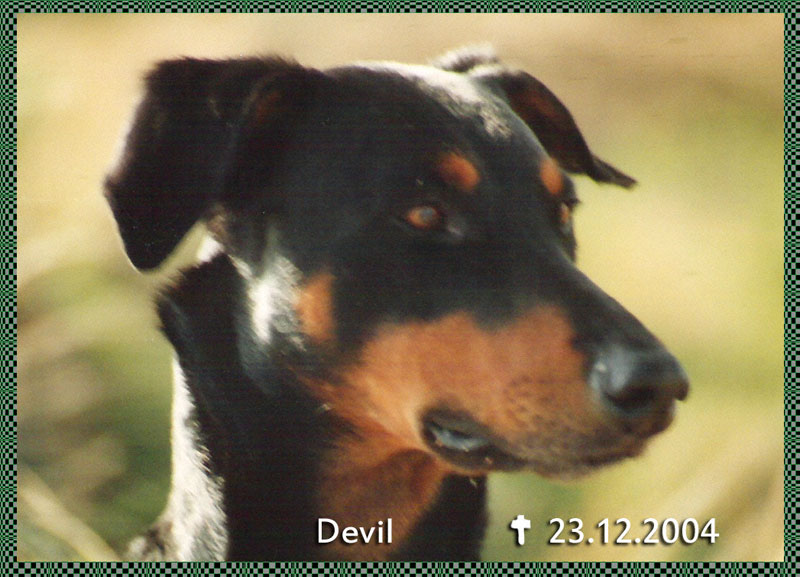 devil