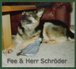 Fee und Herr Schrder