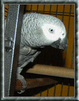 Sam